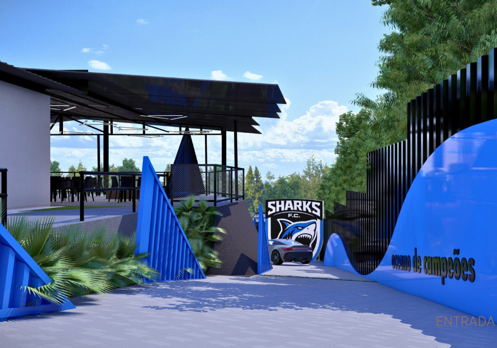 Entrada de Veículos 2